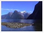 Milford Sound 1 * 1280 x 960 * (1.1MB)